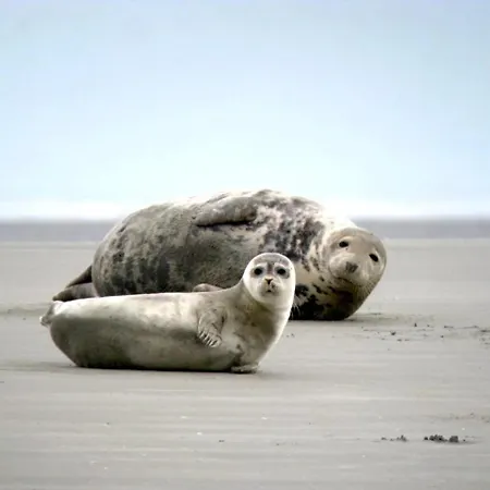 Appartamento L'horizon