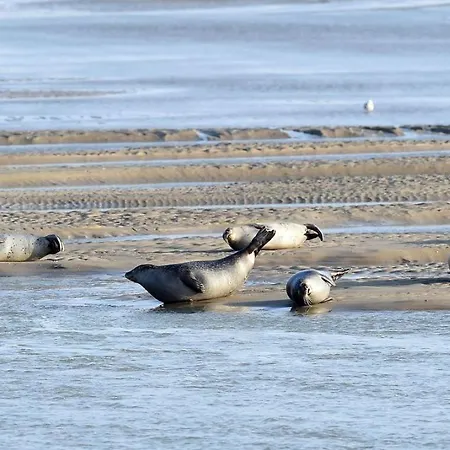 L'horizon Appartamento Fort-Mahon-Plage